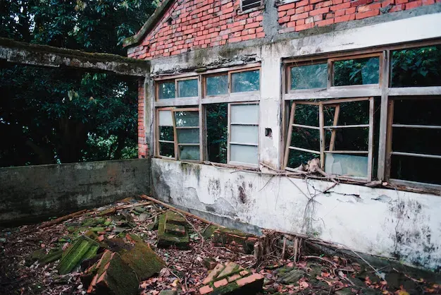 imageye___-_imgi_5_imgi_171_abandoned-old-building-with-destroyed-windows-forest_181624-6735.webp